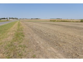 White & Hamilton County, Illinois Farmland - ILLINOIS REAL ESTATE AUCTION - 1,720+/- ACRES OFFERED IN 38 TRACTS IN WHITE & HAMILTON COUNTIES, ILLINOIS