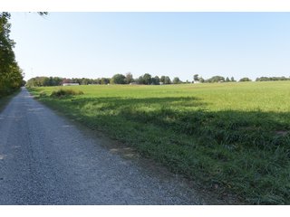 White & Hamilton County, Illinois Farmland - ILLINOIS REAL ESTATE AUCTION - 1,720+/- ACRES OFFERED IN 38 TRACTS IN WHITE & HAMILTON COUNTIES, ILLINOIS