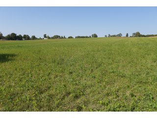 White & Hamilton County, Illinois Farmland - ILLINOIS REAL ESTATE AUCTION - 1,720+/- ACRES OFFERED IN 38 TRACTS IN WHITE & HAMILTON COUNTIES, ILLINOIS