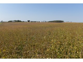 White & Hamilton County, Illinois Farmland - ILLINOIS REAL ESTATE AUCTION - 1,720+/- ACRES OFFERED IN 38 TRACTS IN WHITE & HAMILTON COUNTIES, ILLINOIS