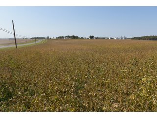 White & Hamilton County, Illinois Farmland - ILLINOIS REAL ESTATE AUCTION - 1,720+/- ACRES OFFERED IN 38 TRACTS IN WHITE & HAMILTON COUNTIES, ILLINOIS