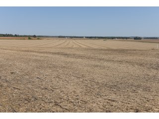 White & Hamilton County, Illinois Farmland - ILLINOIS REAL ESTATE AUCTION - 1,720+/- ACRES OFFERED IN 38 TRACTS IN WHITE & HAMILTON COUNTIES, ILLINOIS