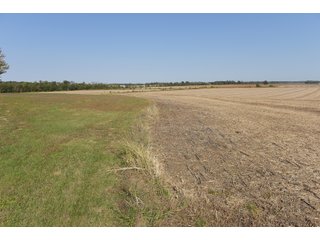 White & Hamilton County, Illinois Farmland - ILLINOIS REAL ESTATE AUCTION - 1,720+/- ACRES OFFERED IN 38 TRACTS IN WHITE & HAMILTON COUNTIES, ILLINOIS