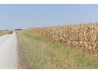 White & Hamilton County, Illinois Farmland - ILLINOIS REAL ESTATE AUCTION - 1,720+/- ACRES OFFERED IN 38 TRACTS IN WHITE & HAMILTON COUNTIES, ILLINOIS