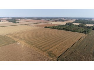 White & Hamilton Counties, Illinois Farmland - ILLINOIS REAL ESTATE AUCTION - 1,720+/- ACRES OFFERED IN 38 TRACTS IN WHITE & HAMILTON COUNTIES, ILLINOIS