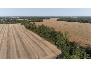 White & Hamilton Counties, Illinois Farmland - ILLINOIS REAL ESTATE AUCTION - 1,720+/- ACRES OFFERED IN 38 TRACTS IN WHITE & HAMILTON COUNTIES, ILLINOIS