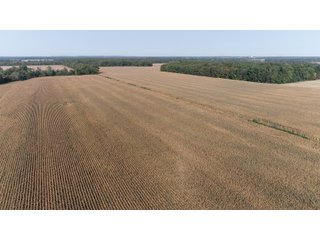White & Hamilton Counties, Illinois Farmland - ILLINOIS REAL ESTATE AUCTION - 1,720+/- ACRES OFFERED IN 38 TRACTS IN WHITE & HAMILTON COUNTIES, ILLINOIS