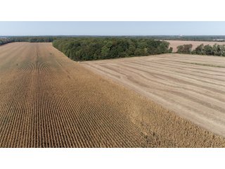 White & Hamilton Counties, Illinois Farmland - ILLINOIS REAL ESTATE AUCTION - 1,720+/- ACRES OFFERED IN 38 TRACTS IN WHITE & HAMILTON COUNTIES, ILLINOIS