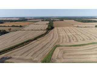 White & Hamilton Counties, Illinois Farmland - ILLINOIS REAL ESTATE AUCTION - 1,720+/- ACRES OFFERED IN 38 TRACTS IN WHITE & HAMILTON COUNTIES, ILLINOIS