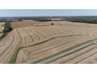 White & Hamilton Counties, Illinois Farmland - ILLINOIS REAL ESTATE AUCTION - 1,720+/- ACRES OFFERED IN 38 TRACTS IN WHITE & HAMILTON COUNTIES, ILLINOIS