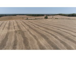 White & Hamilton Counties, Illinois Farmland - ILLINOIS REAL ESTATE AUCTION - 1,720+/- ACRES OFFERED IN 38 TRACTS IN WHITE & HAMILTON COUNTIES, ILLINOIS