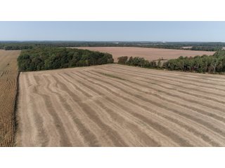 White & Hamilton Counties, Illinois Farmland - ILLINOIS REAL ESTATE AUCTION - 1,720+/- ACRES OFFERED IN 38 TRACTS IN WHITE & HAMILTON COUNTIES, ILLINOIS