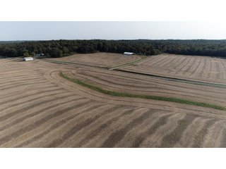 White & Hamilton Counties, Illinois Farmland - ILLINOIS REAL ESTATE AUCTION - 1,720+/- ACRES OFFERED IN 38 TRACTS IN WHITE & HAMILTON COUNTIES, ILLINOIS