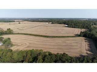 White & Hamilton Counties, Illinois Farmland - ILLINOIS REAL ESTATE AUCTION - 1,720+/- ACRES OFFERED IN 38 TRACTS IN WHITE & HAMILTON COUNTIES, ILLINOIS