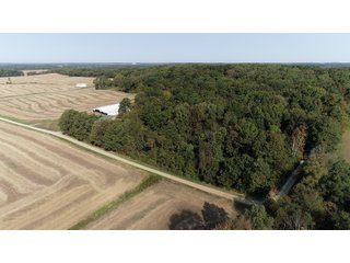 White & Hamilton Counties, Illinois Farmland - ILLINOIS REAL ESTATE AUCTION - 1,720+/- ACRES OFFERED IN 38 TRACTS IN WHITE & HAMILTON COUNTIES, ILLINOIS