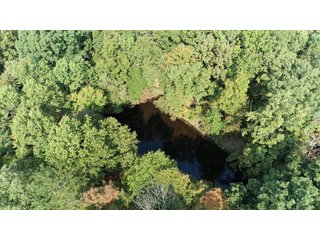 White & Hamilton Counties, Illinois Farmland - ILLINOIS REAL ESTATE AUCTION - 1,720+/- ACRES OFFERED IN 38 TRACTS IN WHITE & HAMILTON COUNTIES, ILLINOIS