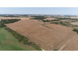 White & Hamilton Counties, Illinois Farmland - ILLINOIS REAL ESTATE AUCTION - 1,720+/- ACRES OFFERED IN 38 TRACTS IN WHITE & HAMILTON COUNTIES, ILLINOIS
