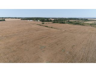 White & Hamilton Counties, Illinois Farmland - ILLINOIS REAL ESTATE AUCTION - 1,720+/- ACRES OFFERED IN 38 TRACTS IN WHITE & HAMILTON COUNTIES, ILLINOIS