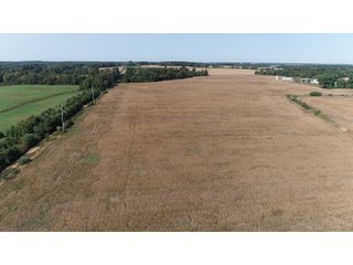 White & Hamilton Counties, Illinois Farmland - ILLINOIS REAL ESTATE AUCTION - 1,720+/- ACRES OFFERED IN 38 TRACTS IN WHITE & HAMILTON COUNTIES, ILLINOIS