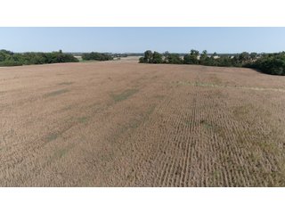 White & Hamilton Counties, Illinois Farmland - ILLINOIS REAL ESTATE AUCTION - 1,720+/- ACRES OFFERED IN 38 TRACTS IN WHITE & HAMILTON COUNTIES, ILLINOIS