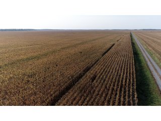 White & Hamilton Counties, Illinois Farmland - ILLINOIS REAL ESTATE AUCTION - 1,720+/- ACRES OFFERED IN 38 TRACTS IN WHITE & HAMILTON COUNTIES, ILLINOIS
