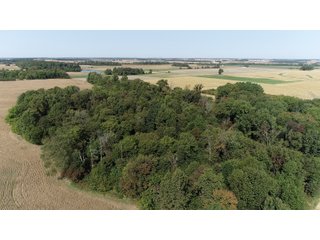 White & Hamilton Counties, Illinois Farmland - ILLINOIS REAL ESTATE AUCTION - 1,720+/- ACRES OFFERED IN 38 TRACTS IN WHITE & HAMILTON COUNTIES, ILLINOIS