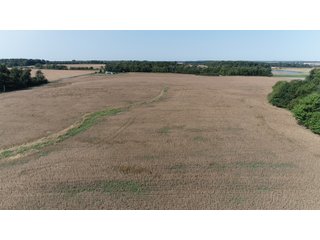 White & Hamilton Counties, Illinois Farmland - ILLINOIS REAL ESTATE AUCTION - 1,720+/- ACRES OFFERED IN 38 TRACTS IN WHITE & HAMILTON COUNTIES, ILLINOIS
