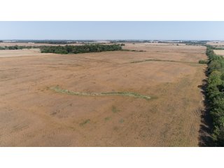 White & Hamilton Counties, Illinois Farmland - ILLINOIS REAL ESTATE AUCTION - 1,720+/- ACRES OFFERED IN 38 TRACTS IN WHITE & HAMILTON COUNTIES, ILLINOIS