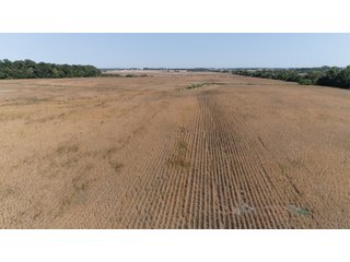 White & Hamilton Counties, Illinois Farmland - ILLINOIS REAL ESTATE AUCTION - 1,720+/- ACRES OFFERED IN 38 TRACTS IN WHITE & HAMILTON COUNTIES, ILLINOIS