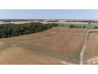 White & Hamilton Counties, Illinois Farmland - ILLINOIS REAL ESTATE AUCTION - 1,720+/- ACRES OFFERED IN 38 TRACTS IN WHITE & HAMILTON COUNTIES, ILLINOIS