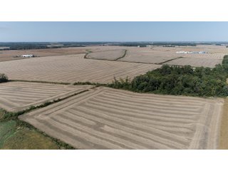 White & Hamilton Counties, Illinois Farmland - ILLINOIS REAL ESTATE AUCTION - 1,720+/- ACRES OFFERED IN 38 TRACTS IN WHITE & HAMILTON COUNTIES, ILLINOIS
