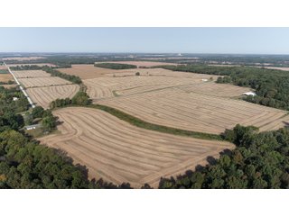 White & Hamilton Counties, Illinois Farmland - ILLINOIS REAL ESTATE AUCTION - 1,720+/- ACRES OFFERED IN 38 TRACTS IN WHITE & HAMILTON COUNTIES, ILLINOIS
