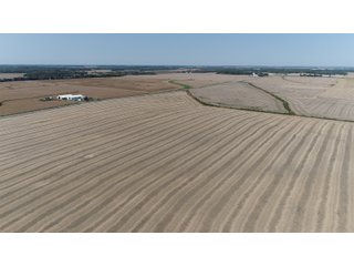 White & Hamilton Counties, Illinois Farmland - ILLINOIS REAL ESTATE AUCTION - 1,720+/- ACRES OFFERED IN 38 TRACTS IN WHITE & HAMILTON COUNTIES, ILLINOIS
