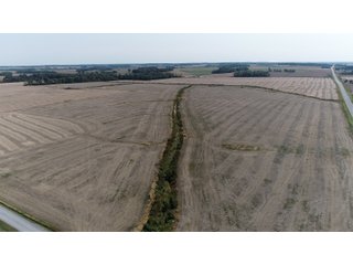 White & Hamilton Counties, Illinois Farmland - ILLINOIS REAL ESTATE AUCTION - 1,720+/- ACRES OFFERED IN 38 TRACTS IN WHITE & HAMILTON COUNTIES, ILLINOIS