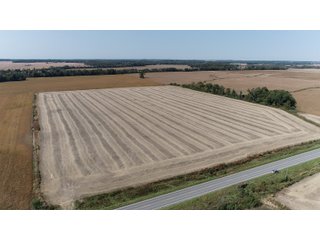 White & Hamilton Counties, Illinois Farmland - ILLINOIS REAL ESTATE AUCTION - 1,720+/- ACRES OFFERED IN 38 TRACTS IN WHITE & HAMILTON COUNTIES, ILLINOIS