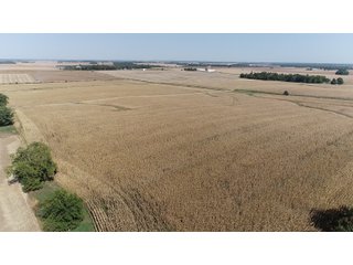 White & Hamilton Counties, Illinois Farmland - ILLINOIS REAL ESTATE AUCTION - 1,720+/- ACRES OFFERED IN 38 TRACTS IN WHITE & HAMILTON COUNTIES, ILLINOIS