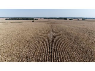 White & Hamilton Counties, Illinois Farmland - ILLINOIS REAL ESTATE AUCTION - 1,720+/- ACRES OFFERED IN 38 TRACTS IN WHITE & HAMILTON COUNTIES, ILLINOIS