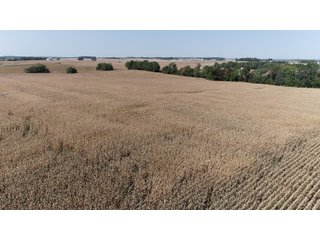 White & Hamilton Counties, Illinois Farmland - ILLINOIS REAL ESTATE AUCTION - 1,720+/- ACRES OFFERED IN 38 TRACTS IN WHITE & HAMILTON COUNTIES, ILLINOIS