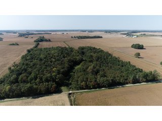 White & Hamilton Counties, Illinois Farmland - ILLINOIS REAL ESTATE AUCTION - 1,720+/- ACRES OFFERED IN 38 TRACTS IN WHITE & HAMILTON COUNTIES, ILLINOIS