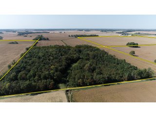 White & Hamilton Counties, Illinois Farmland - ILLINOIS REAL ESTATE AUCTION - 1,720+/- ACRES OFFERED IN 38 TRACTS IN WHITE & HAMILTON COUNTIES, ILLINOIS