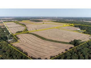 White & Hamilton Counties, Illinois Farmland - ILLINOIS REAL ESTATE AUCTION - 1,720+/- ACRES OFFERED IN 38 TRACTS IN WHITE & HAMILTON COUNTIES, ILLINOIS
