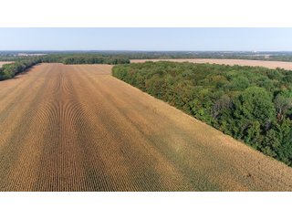 White & Hamilton Counties, Illinois Farmland - ILLINOIS REAL ESTATE AUCTION - 1,720+/- ACRES OFFERED IN 38 TRACTS IN WHITE & HAMILTON COUNTIES, ILLINOIS