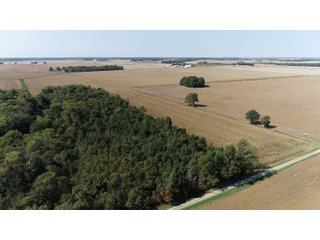 White & Hamilton Counties, Illinois Farmland - ILLINOIS REAL ESTATE AUCTION - 1,720+/- ACRES OFFERED IN 38 TRACTS IN WHITE & HAMILTON COUNTIES, ILLINOIS