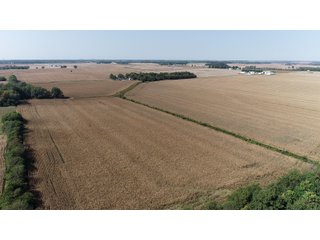 White & Hamilton Counties, Illinois Farmland - ILLINOIS REAL ESTATE AUCTION - 1,720+/- ACRES OFFERED IN 38 TRACTS IN WHITE & HAMILTON COUNTIES, ILLINOIS