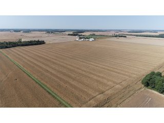 White & Hamilton Counties, Illinois Farmland - ILLINOIS REAL ESTATE AUCTION - 1,720+/- ACRES OFFERED IN 38 TRACTS IN WHITE & HAMILTON COUNTIES, ILLINOIS