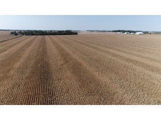 White & Hamilton Counties, Illinois Farmland - ILLINOIS REAL ESTATE AUCTION - 1,720+/- ACRES OFFERED IN 38 TRACTS IN WHITE & HAMILTON COUNTIES, ILLINOIS