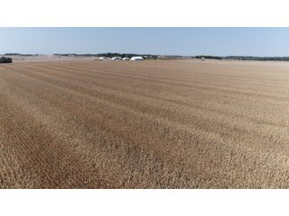 White & Hamilton Counties, Illinois Farmland - ILLINOIS REAL ESTATE AUCTION - 1,720+/- ACRES OFFERED IN 38 TRACTS IN WHITE & HAMILTON COUNTIES, ILLINOIS