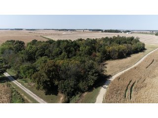 White & Hamilton Counties, Illinois Farmland - ILLINOIS REAL ESTATE AUCTION - 1,720+/- ACRES OFFERED IN 38 TRACTS IN WHITE & HAMILTON COUNTIES, ILLINOIS