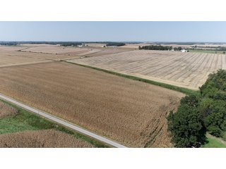 White & Hamilton Counties, Illinois Farmland - ILLINOIS REAL ESTATE AUCTION - 1,720+/- ACRES OFFERED IN 38 TRACTS IN WHITE & HAMILTON COUNTIES, ILLINOIS