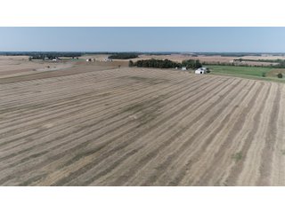 White & Hamilton Counties, Illinois Farmland - ILLINOIS REAL ESTATE AUCTION - 1,720+/- ACRES OFFERED IN 38 TRACTS IN WHITE & HAMILTON COUNTIES, ILLINOIS